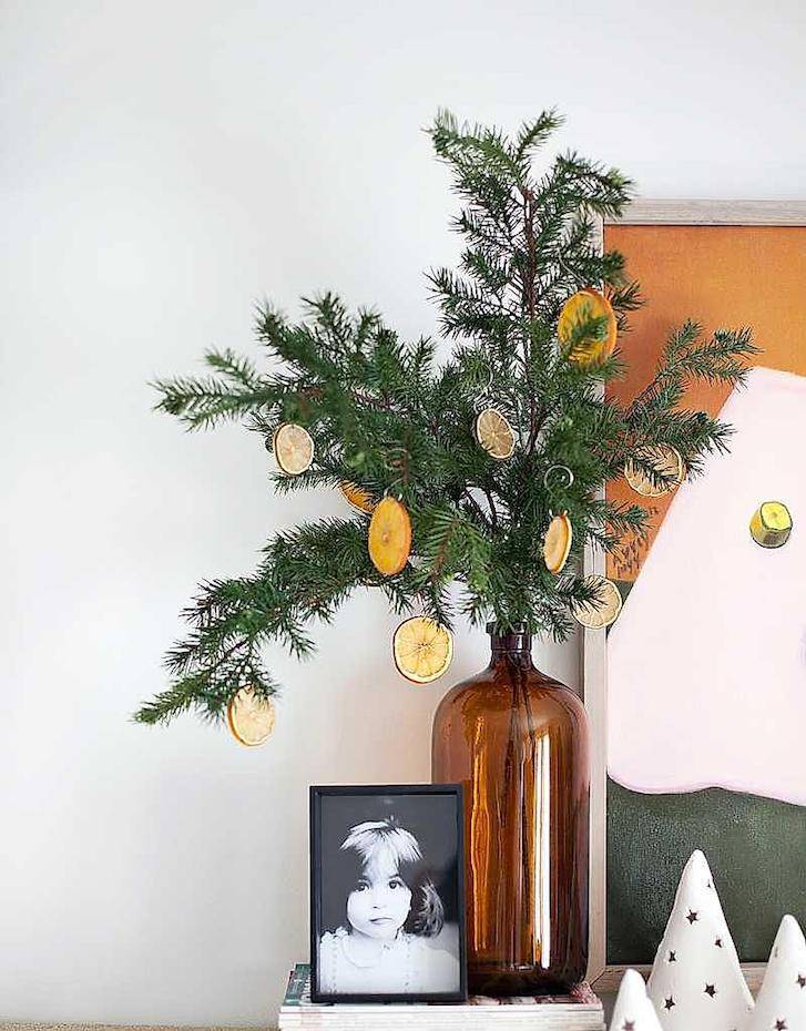 plantas Naranjas para que la casa huela bien